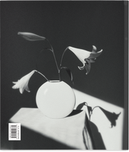 Load image into Gallery viewer, CUBICLE Vol. 2